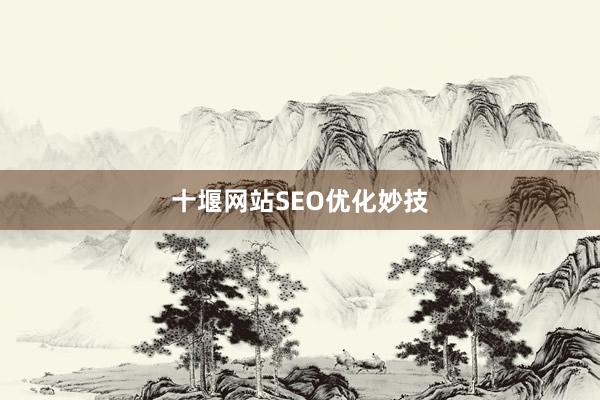 十堰网站SEO优化妙技
